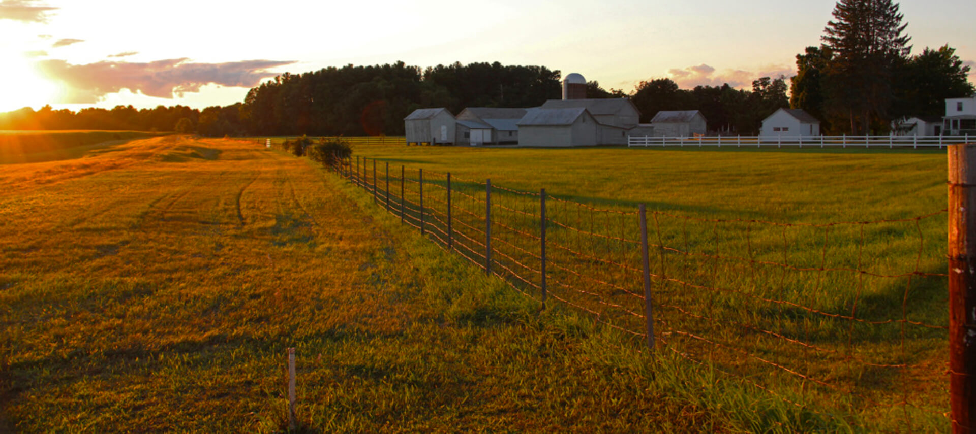 Daily Gazette Pitney Farm sold for community farm Pitney Meadows