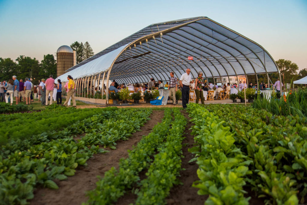 Community event at the farm