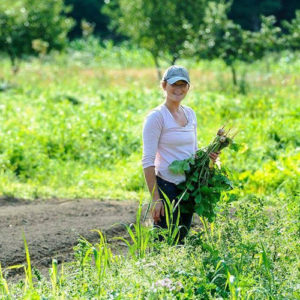 Pitney Meadows Farm Board Member