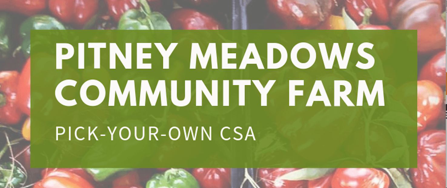 Pick-your-own CSA