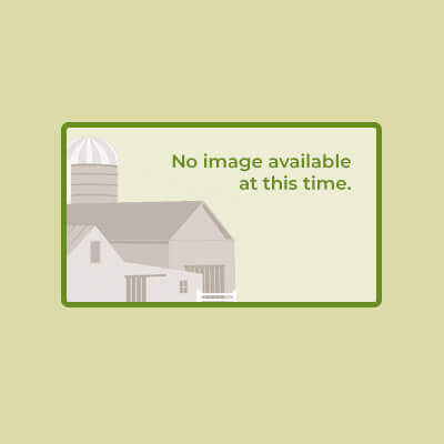 No image available