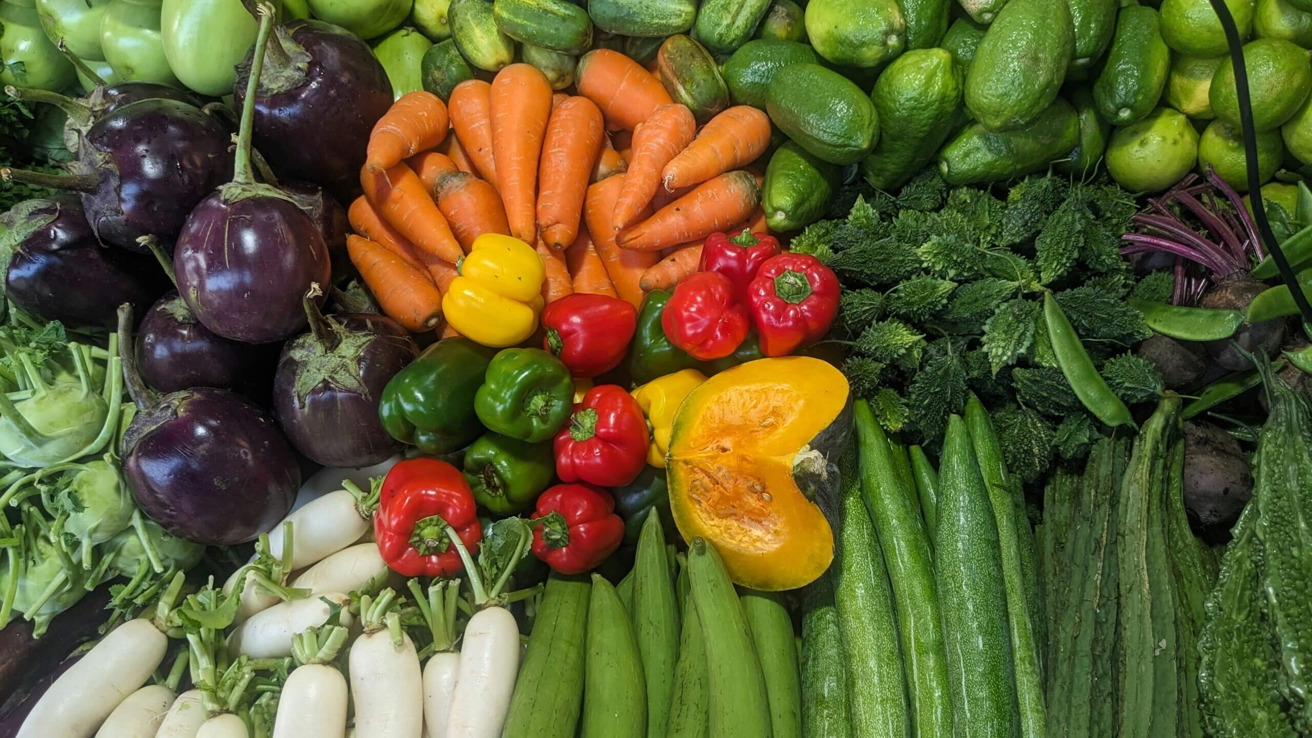 Pitney Meadows Community Farm photo